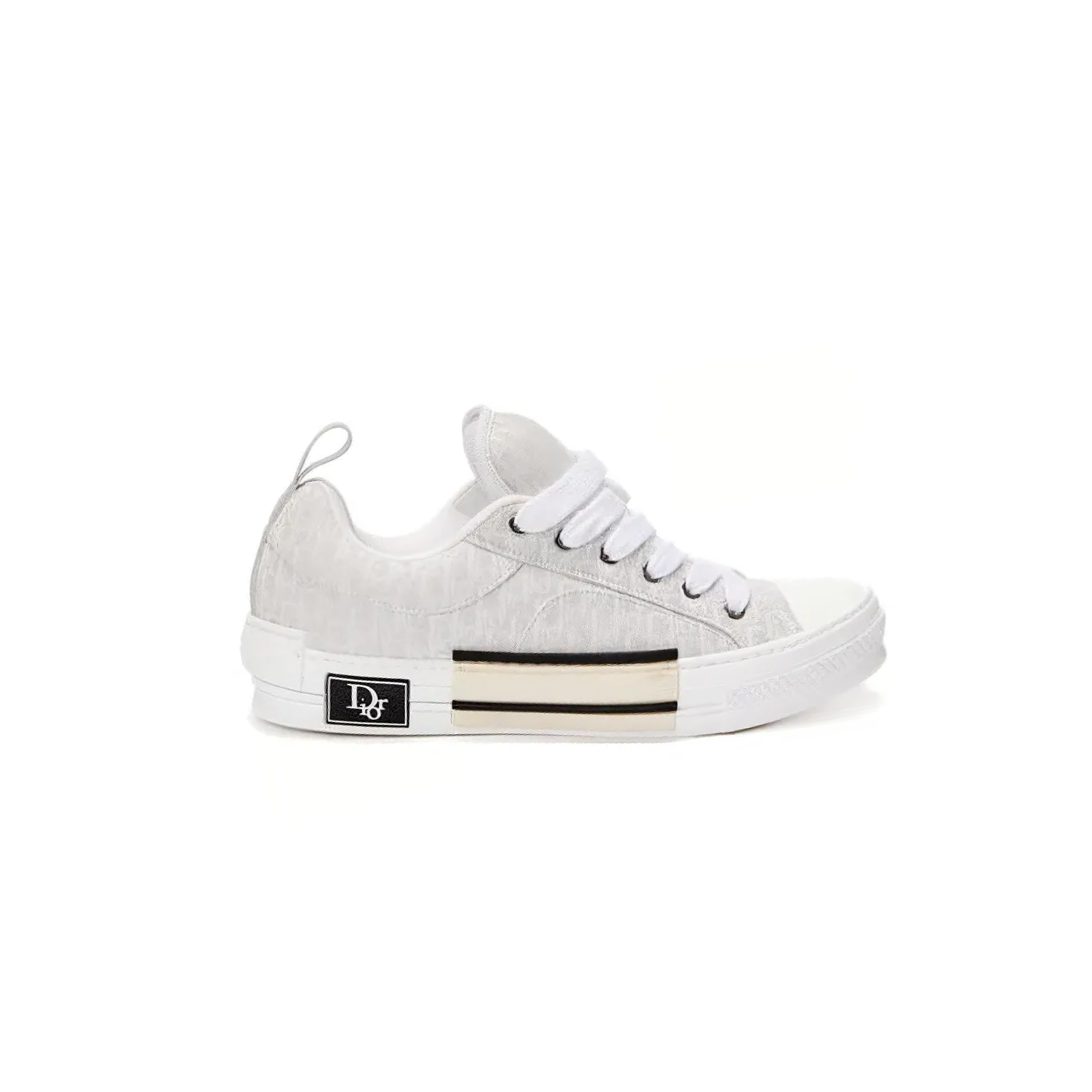 DIOR B23 LOW-TOP SNEAKER 3SN292ZUY_H800